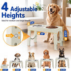 Adjustable Elevated Dog Feeder with 2 Steel Bowls
