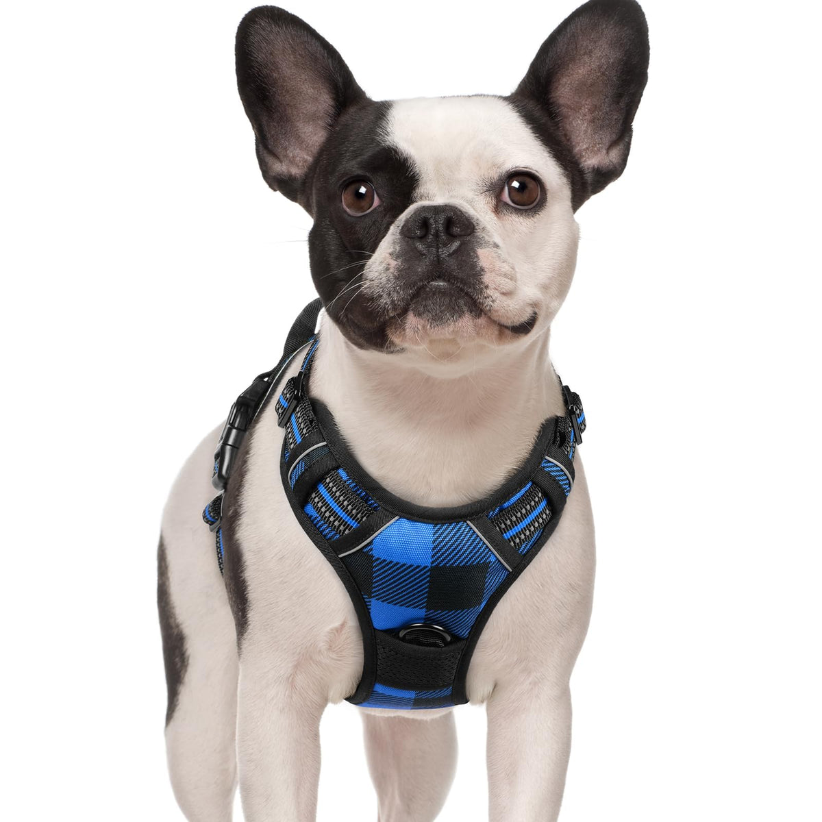 No Pull Dog Harness for Large Dogs – Adjustable Pet Vest with 2 Leash Clips
