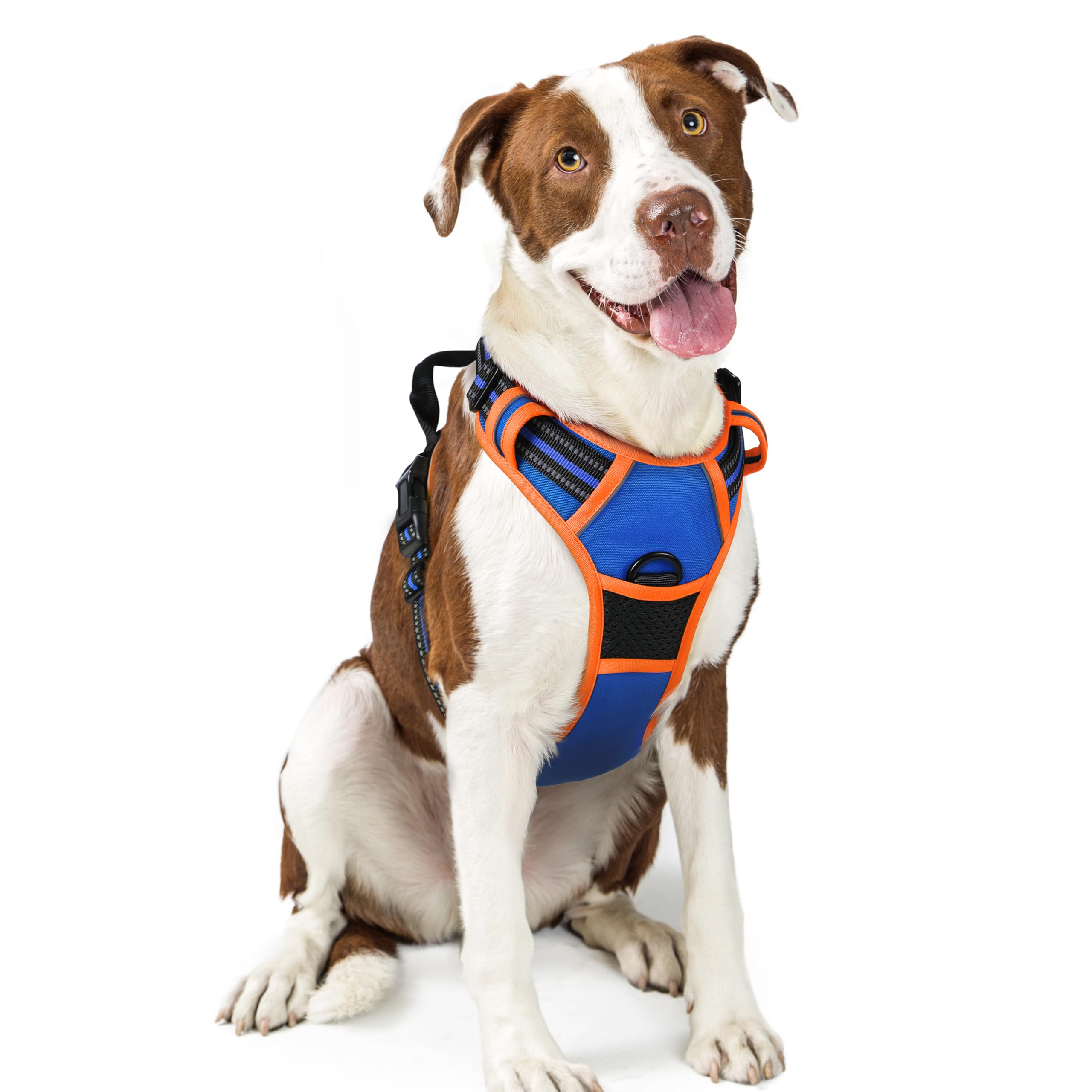 No Pull Dog Harness for Large Dogs – Adjustable Pet Vest with 2 Leash Clips