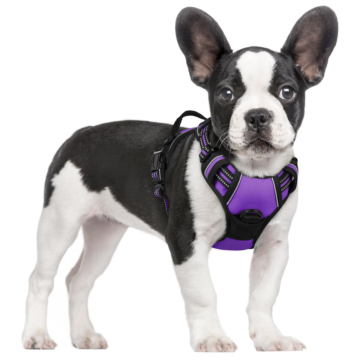 No Pull Dog Harness for Large Dogs – Adjustable Pet Vest with 2 Leash Clips