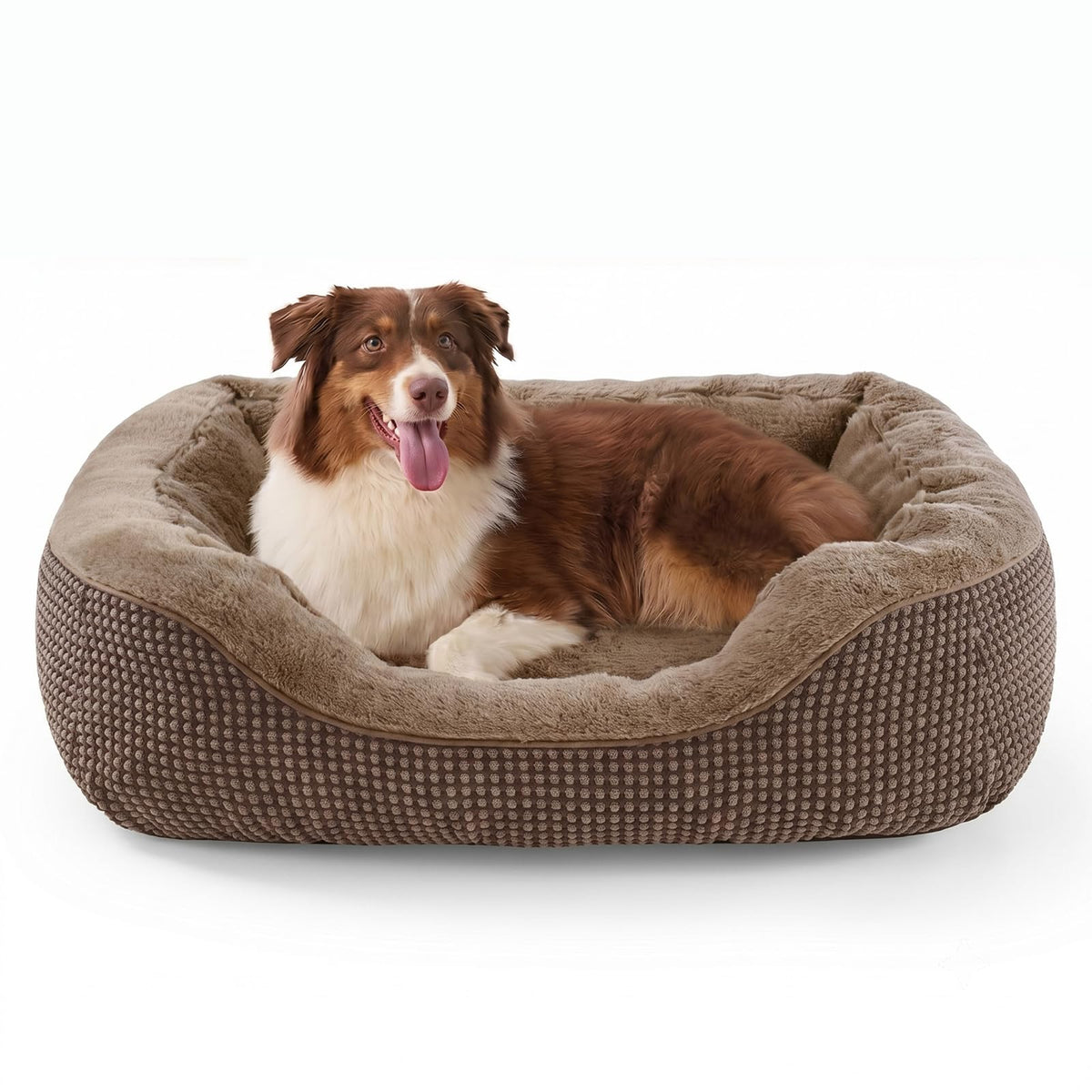 Medium Dog Bed with Raised Sides – 30" x 24" Washable Pet Bed
