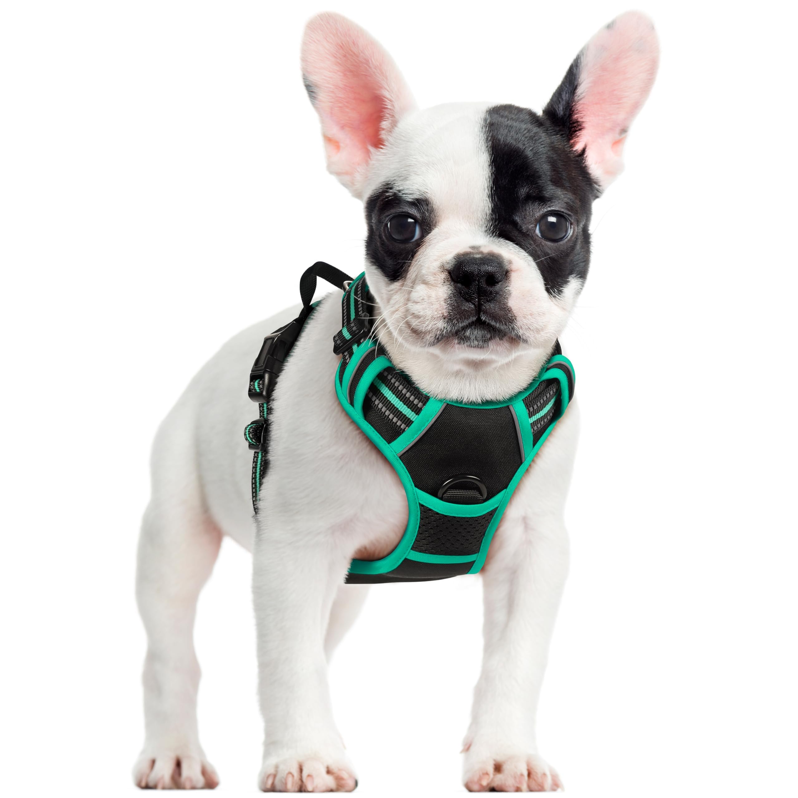 No Pull Dog Harness for Large Dogs – Adjustable Pet Vest with 2 Leash Clips