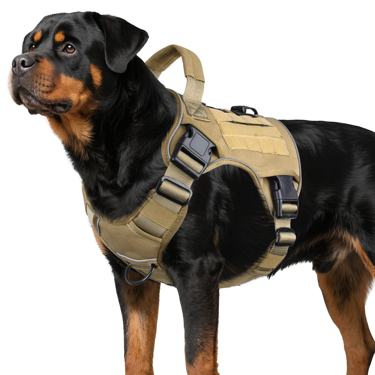 Tactical Dog Harness for Large Dogs – Adjustable No Pull Harness with Handle