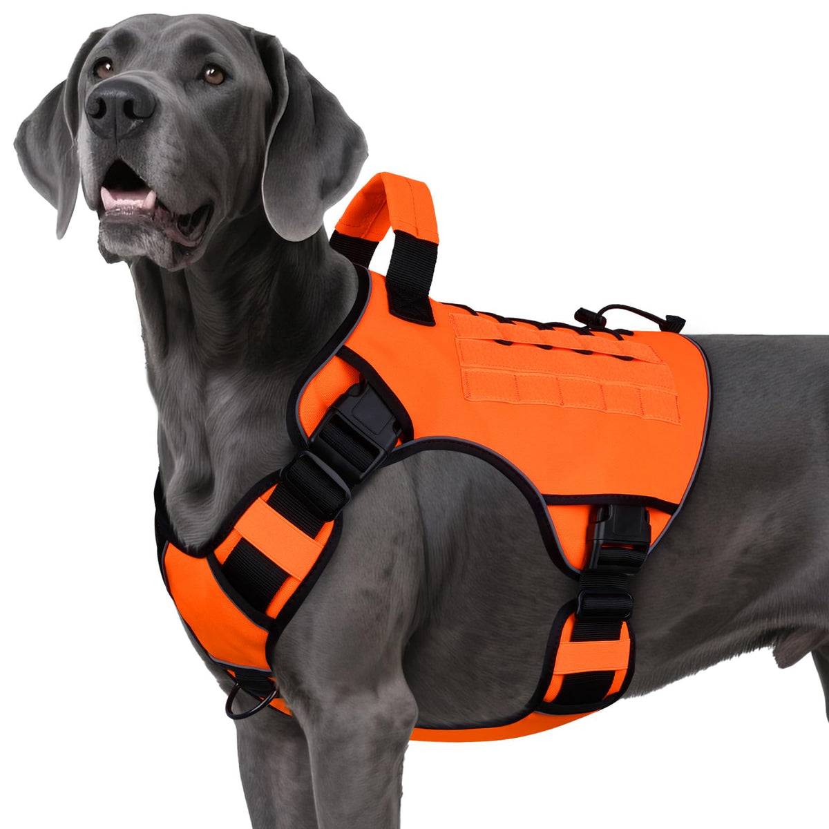 Tactical Dog Harness for Large Dogs – Adjustable No Pull Harness with Handle