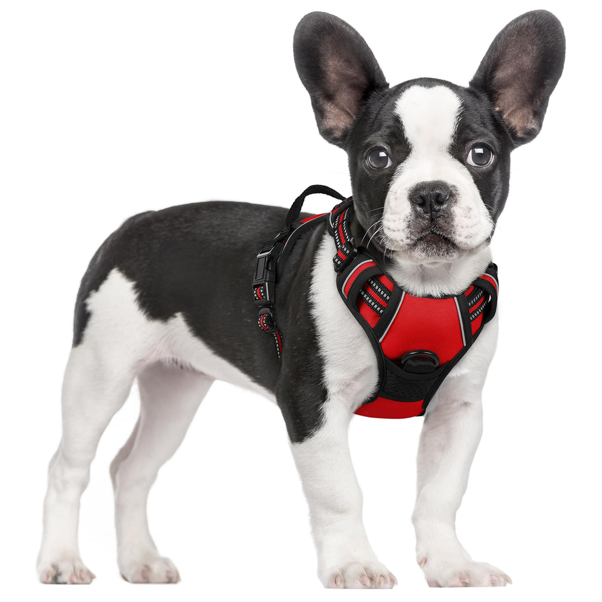 No Pull Dog Harness for Large Dogs – Adjustable Pet Vest with 2 Leash Clips