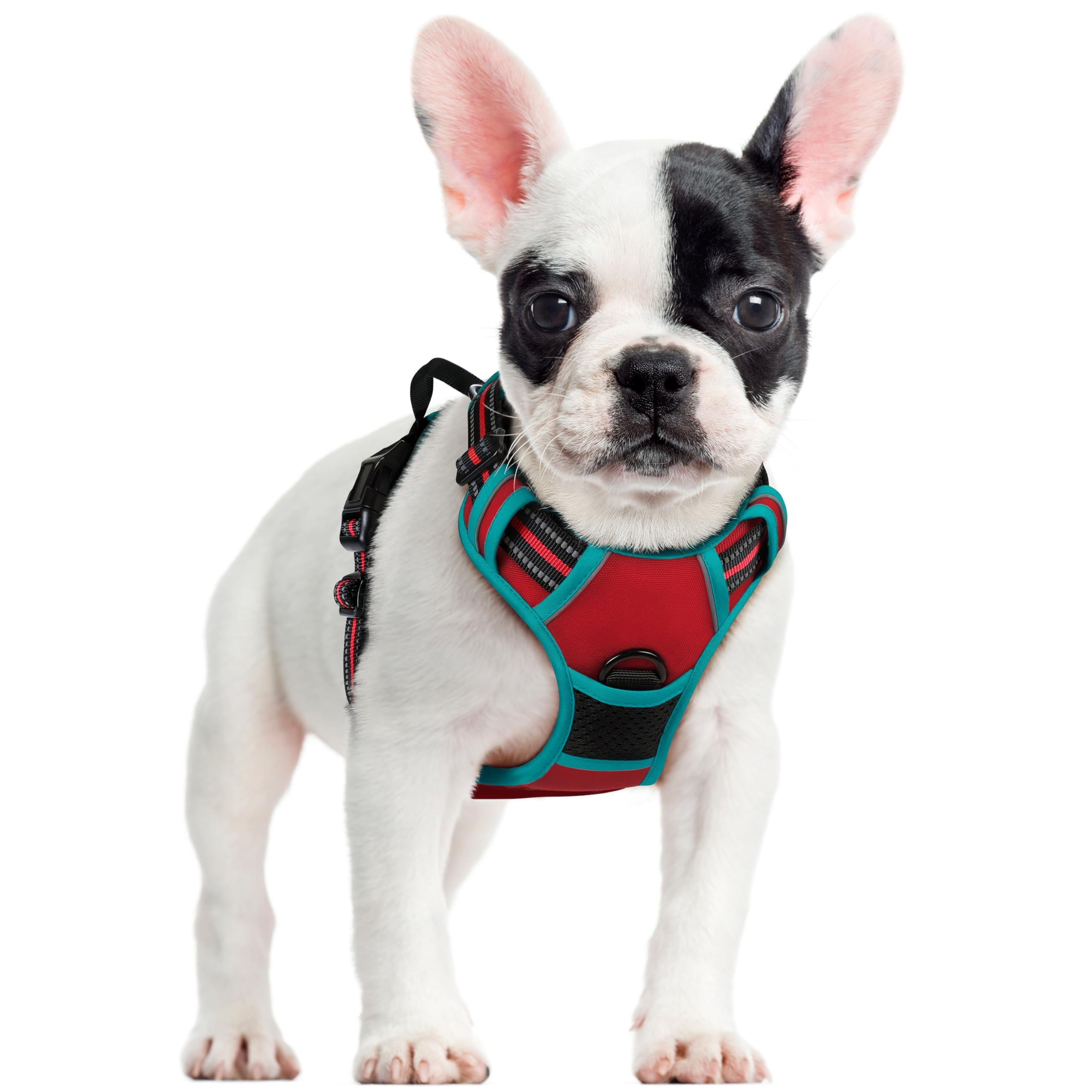 No Pull Dog Harness for Large Dogs – Adjustable Pet Vest with 2 Leash Clips