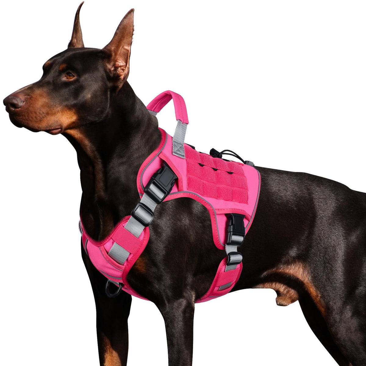 Tactical Dog Harness for Large Dogs – Adjustable No Pull Harness with Handle