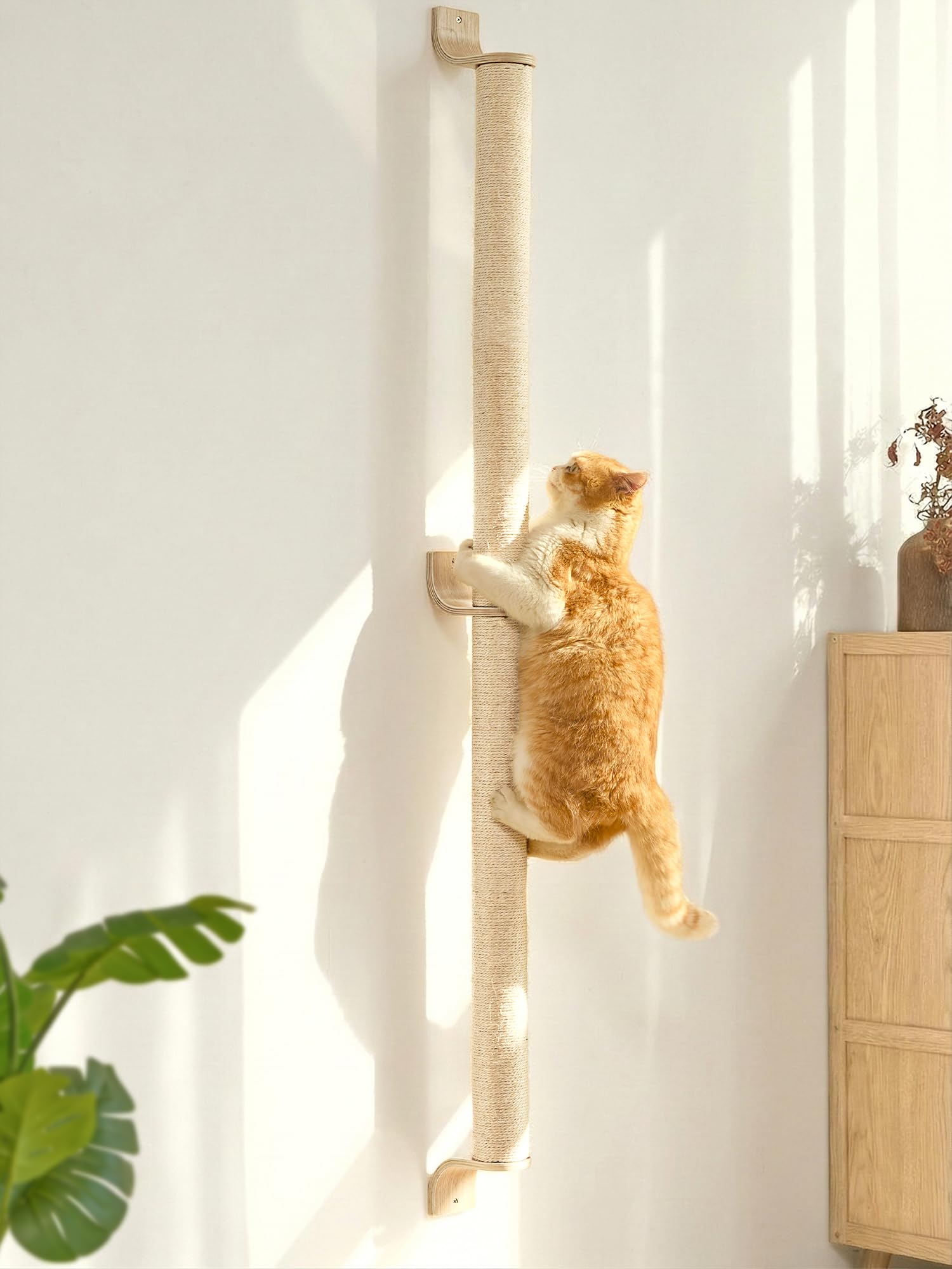 60" Tall Wall-Mounted Cat Scratching Post – Sisal Climbing Scratcher for Indoor Cats