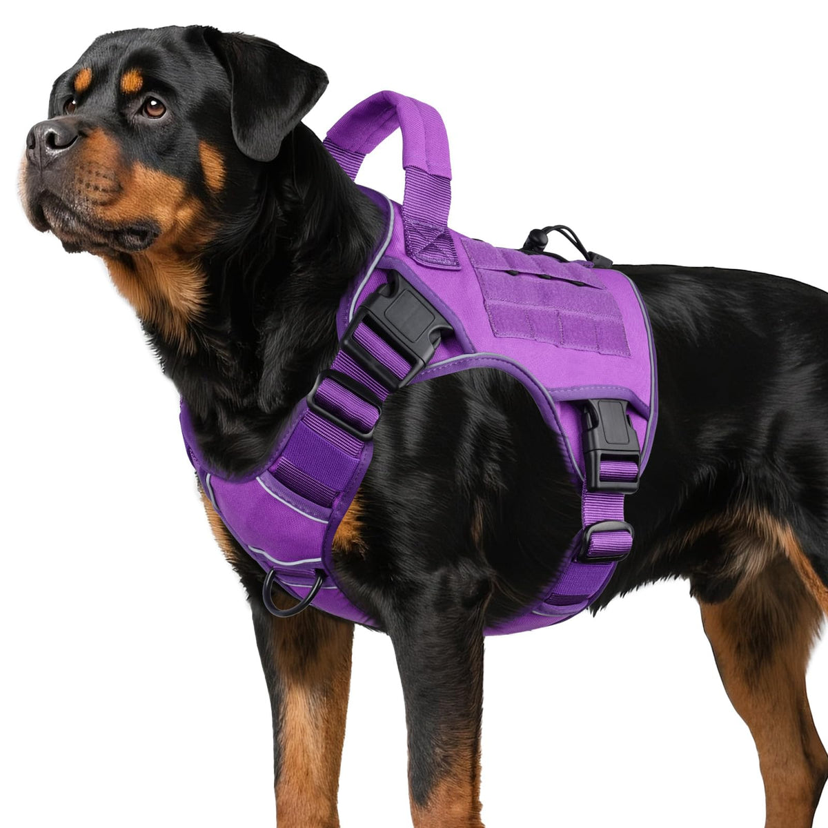 Tactical Dog Harness for Large Dogs – Adjustable No Pull Harness with Handle