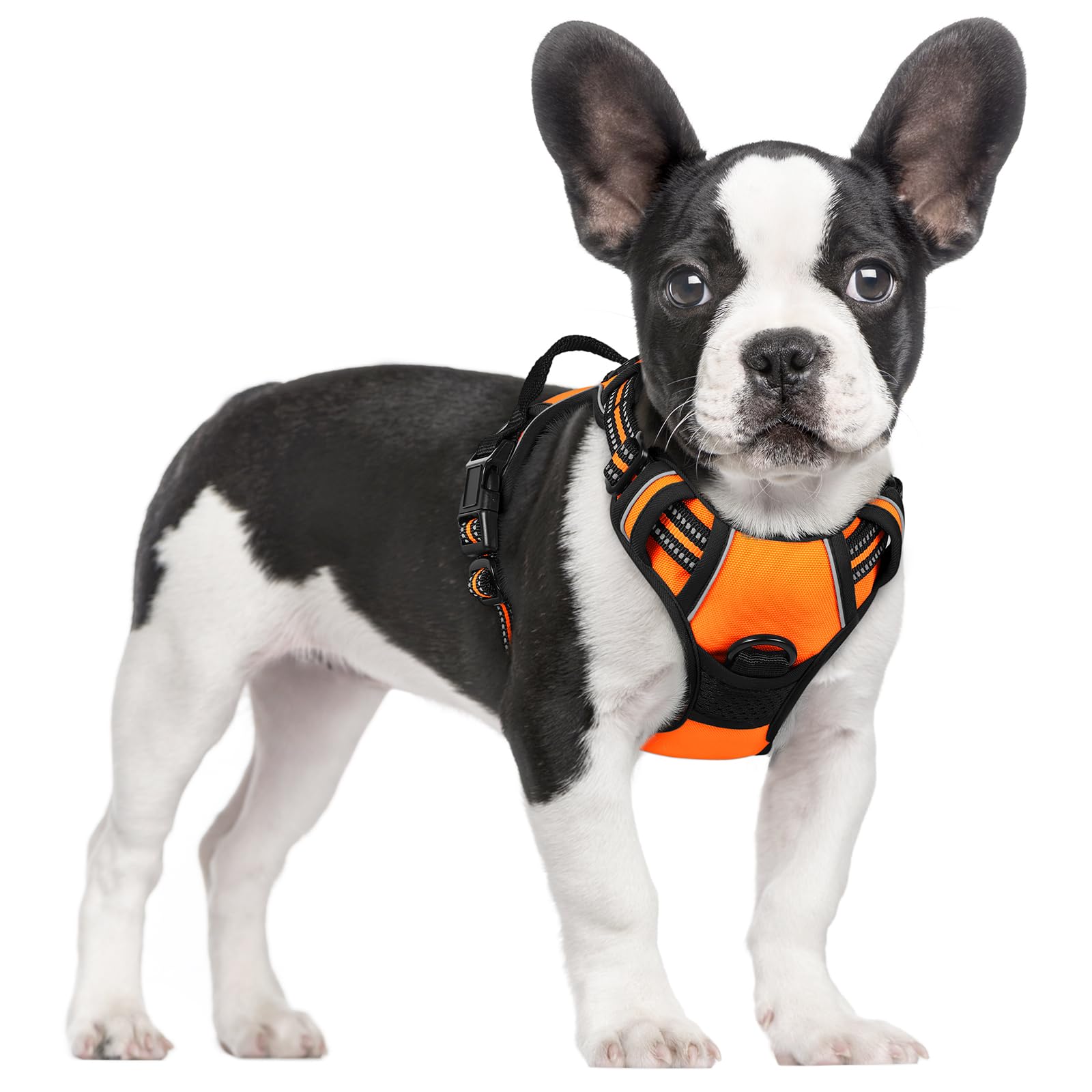 No Pull Dog Harness for Large Dogs – Adjustable Pet Vest with 2 Leash Clips