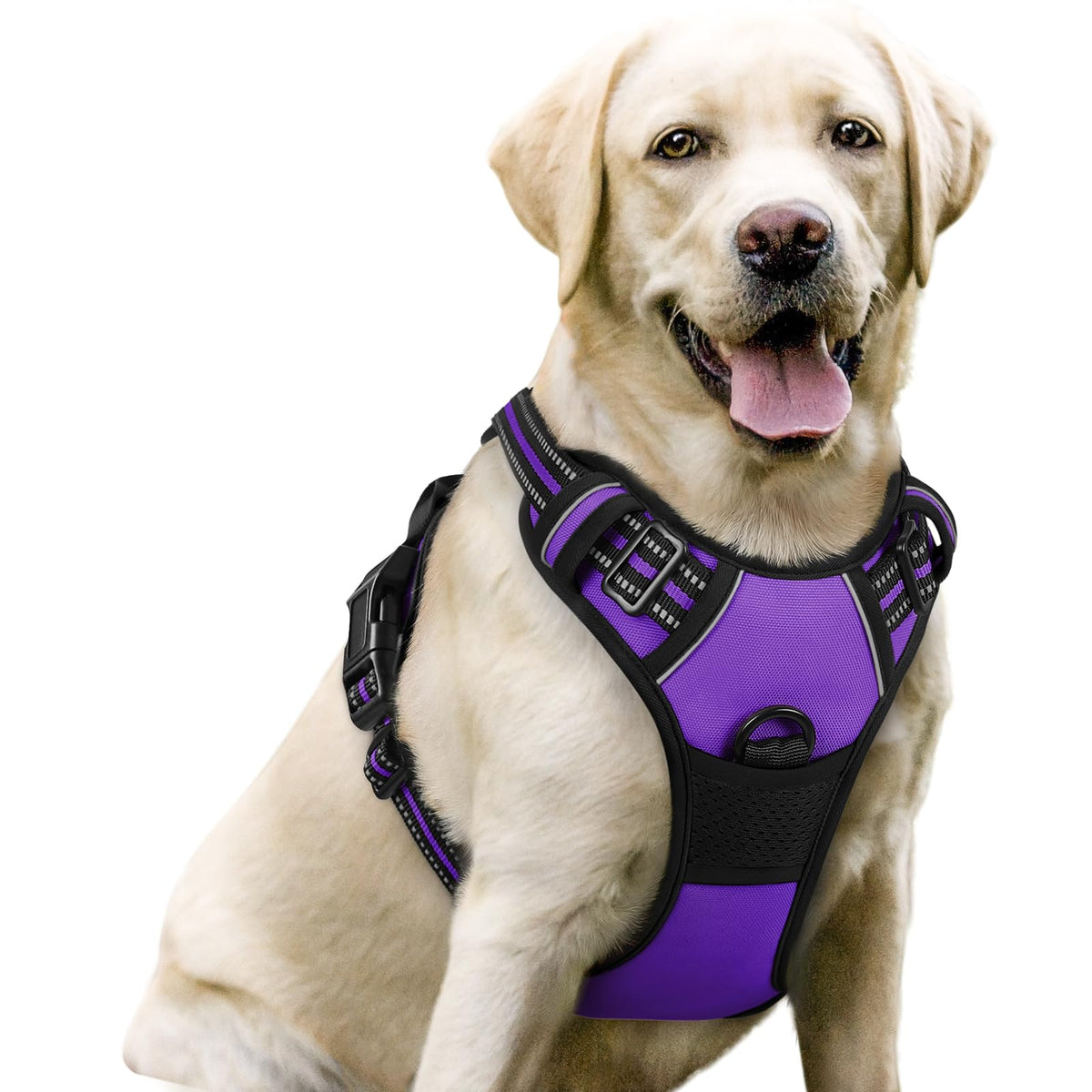 No Pull Dog Harness for Large Dogs – Adjustable Pet Vest with 2 Leash Clips