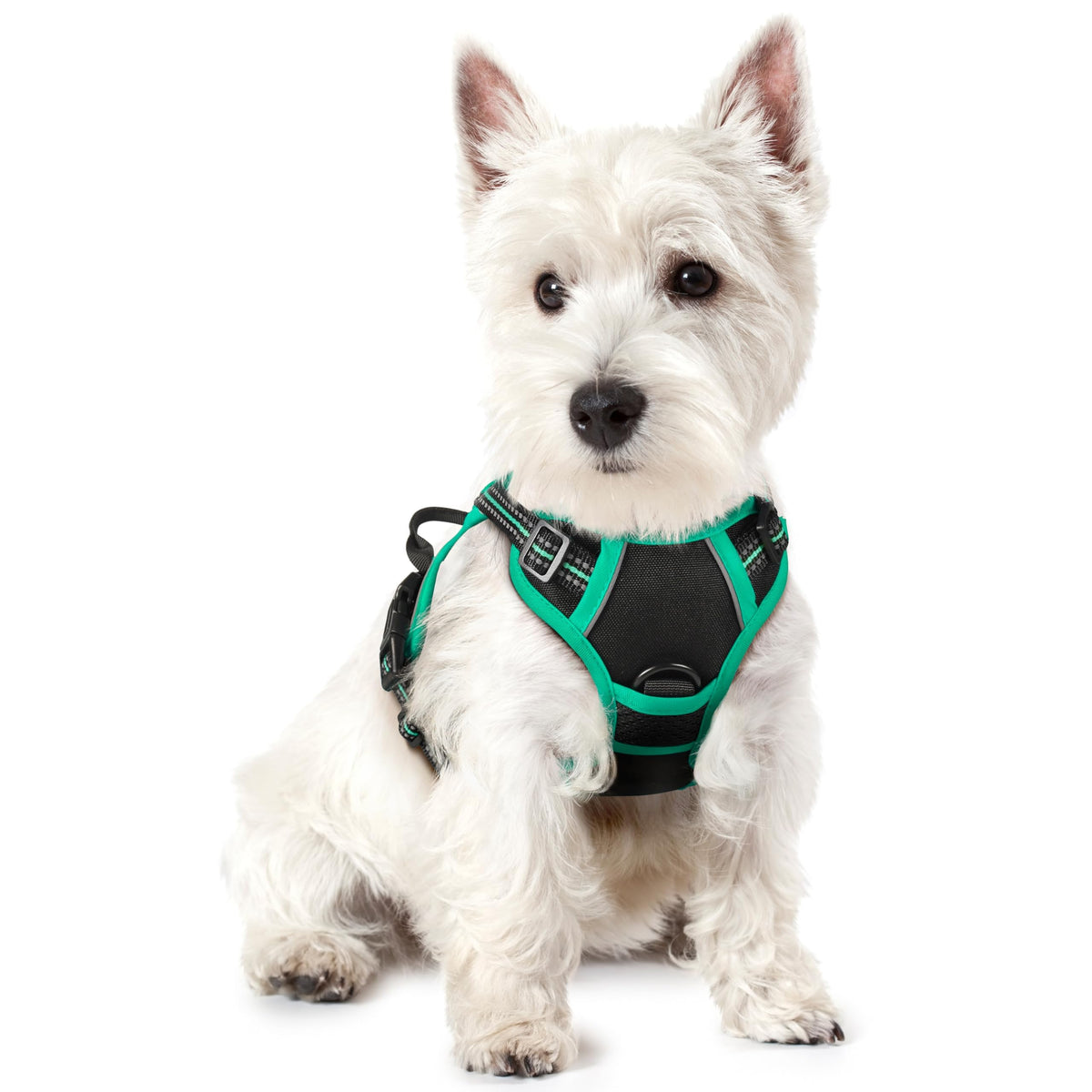 No Pull Dog Harness for Large Dogs – Adjustable Pet Vest with 2 Leash Clips