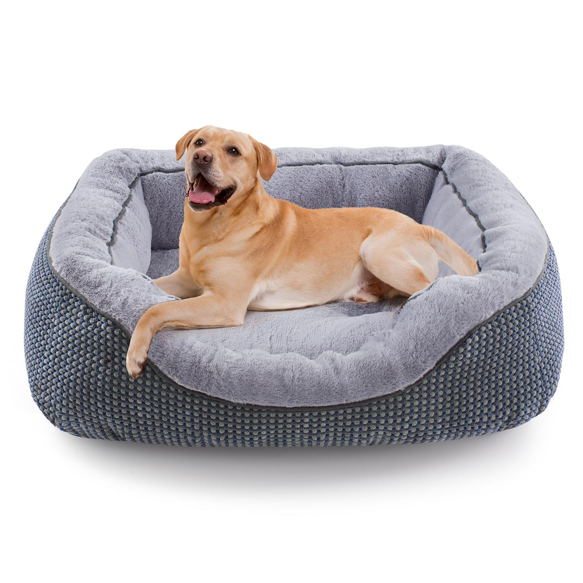 Medium Dog Bed with Raised Sides – 30" x 24" Washable Pet Bed