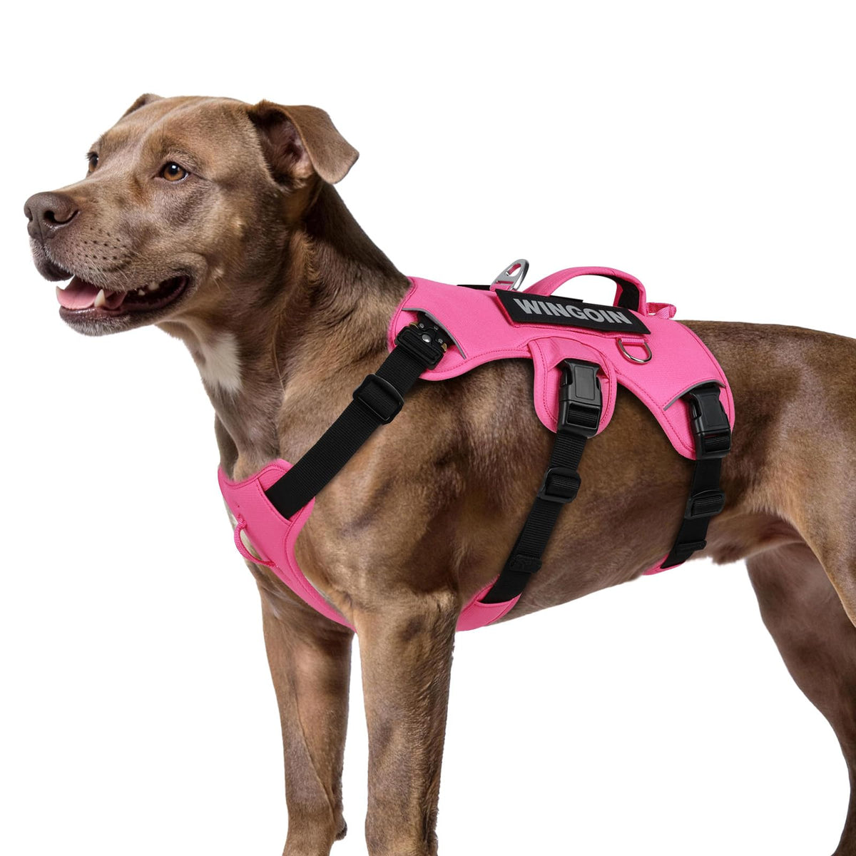 Tactical Dog Harness for Large Dogs – Adjustable No Pull Harness with Handle