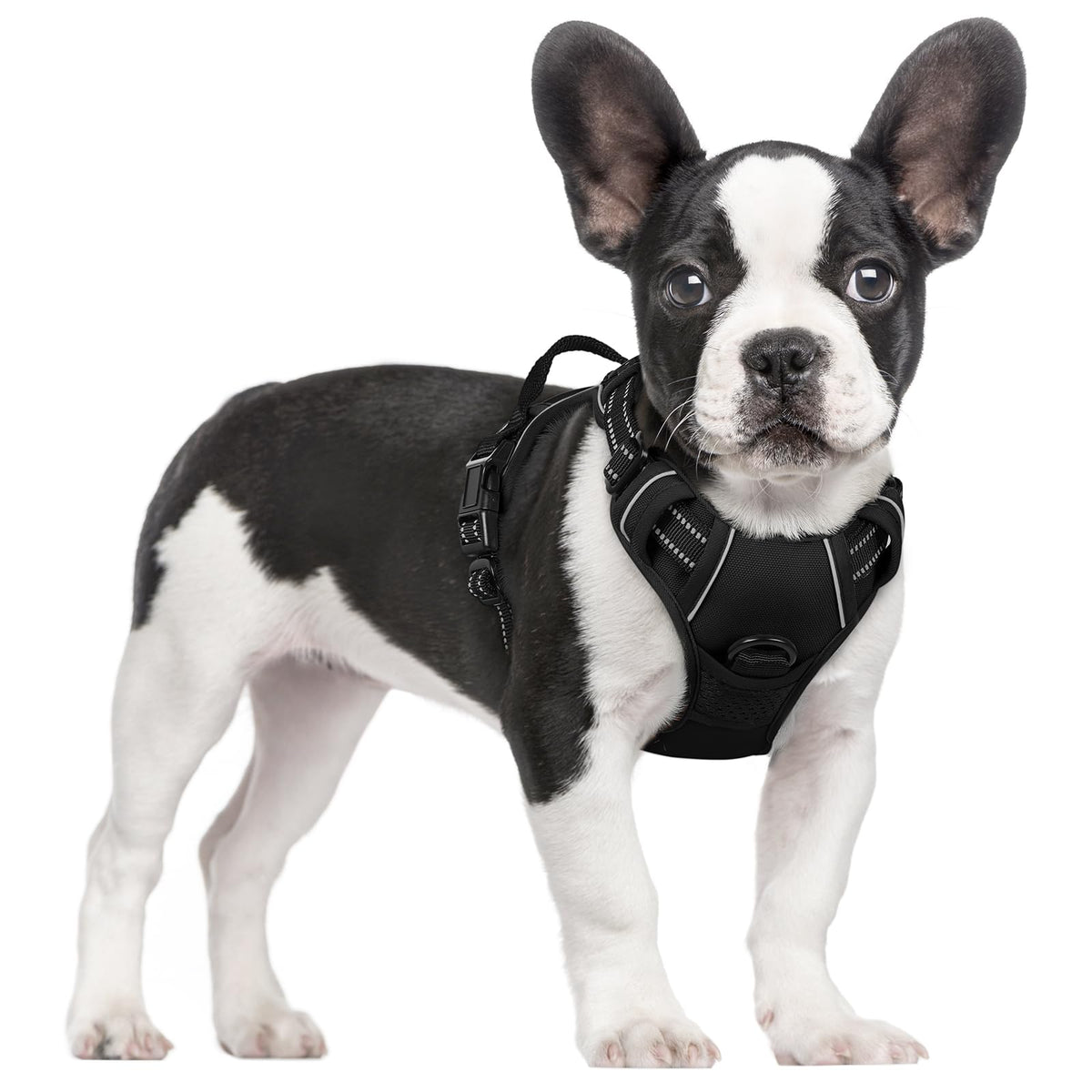 No Pull Dog Harness for Large Dogs – Adjustable Pet Vest with 2 Leash Clips