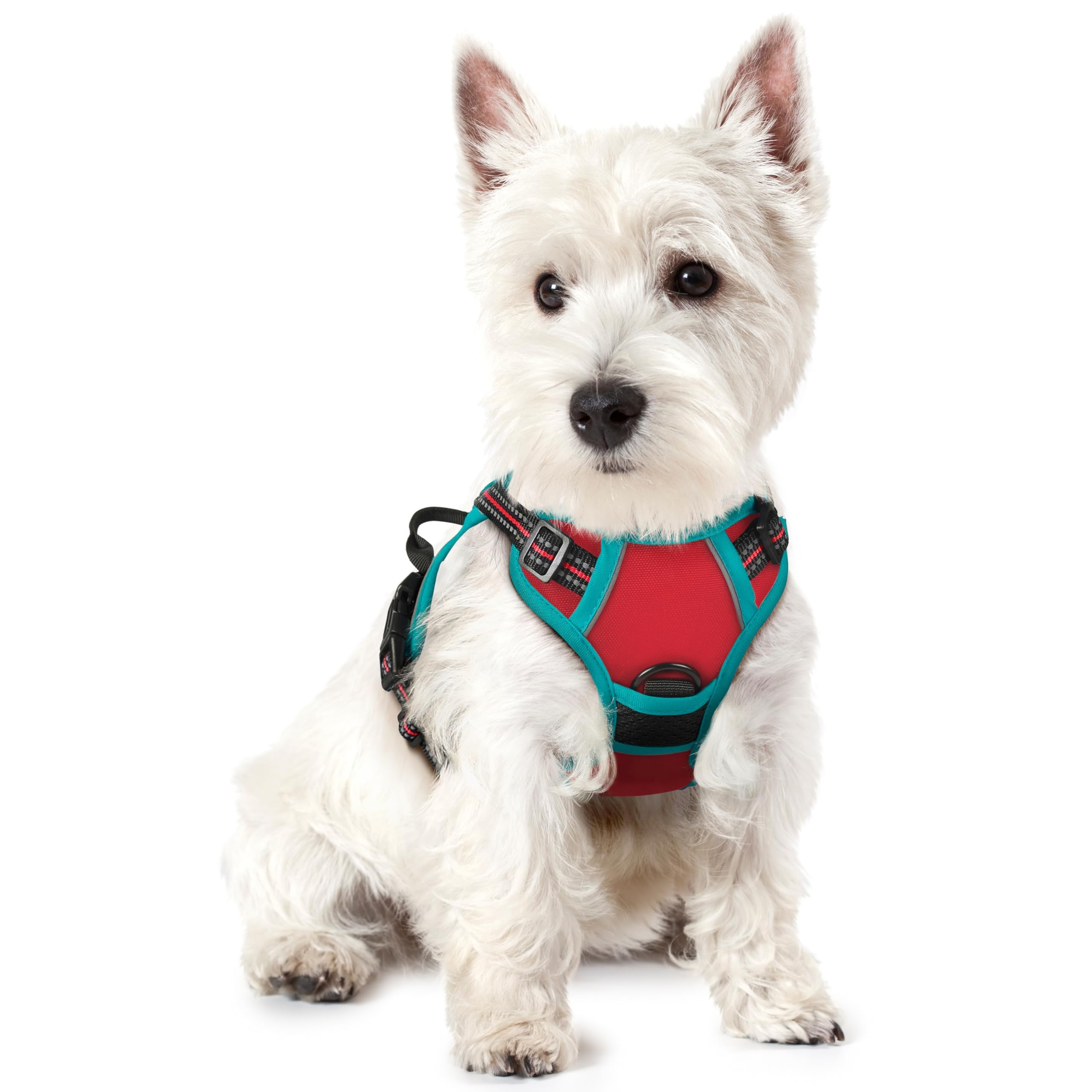 No Pull Dog Harness for Large Dogs – Adjustable Pet Vest with 2 Leash Clips