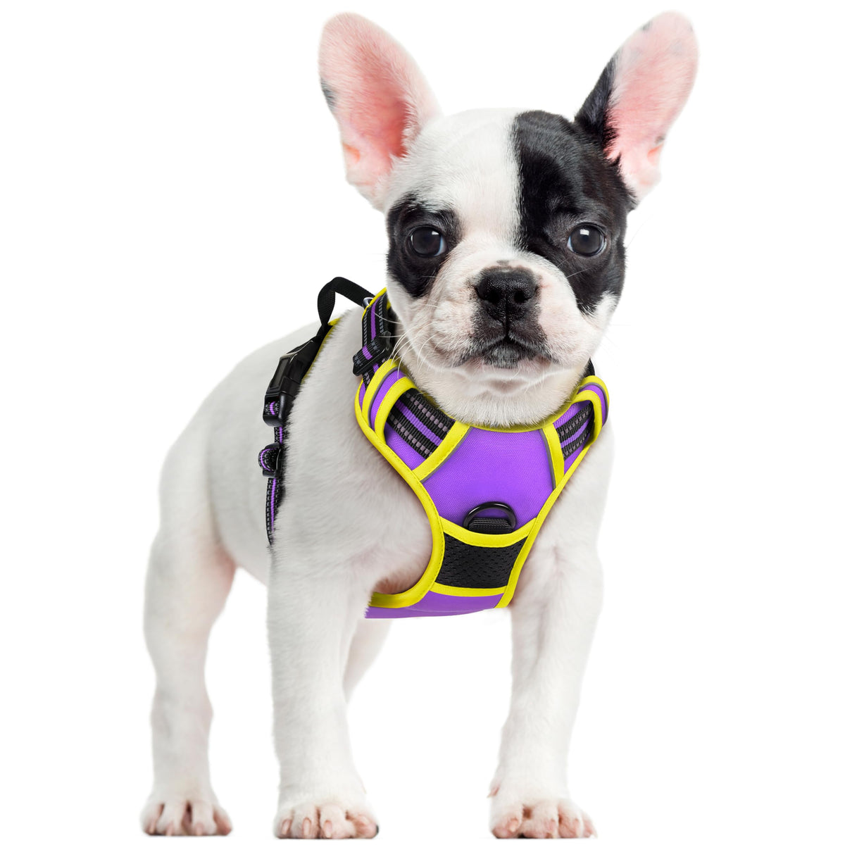 No Pull Dog Harness for Large Dogs – Adjustable Pet Vest with 2 Leash Clips