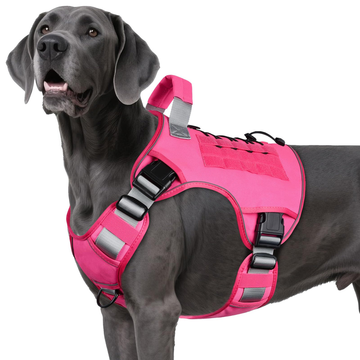 Tactical Dog Harness for Large Dogs – Adjustable No Pull Harness with Handle