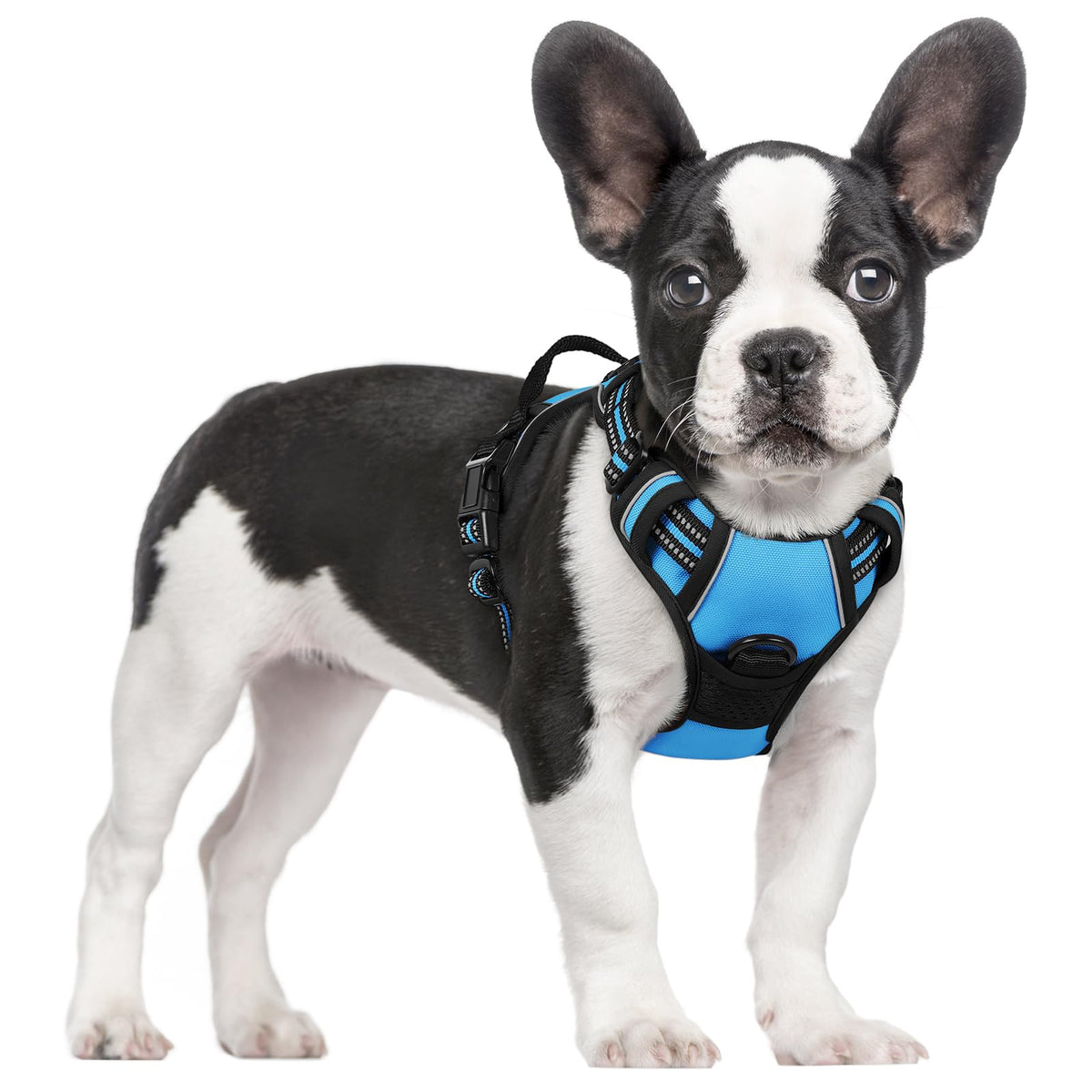 No Pull Dog Harness for Large Dogs – Adjustable Pet Vest with 2 Leash Clips