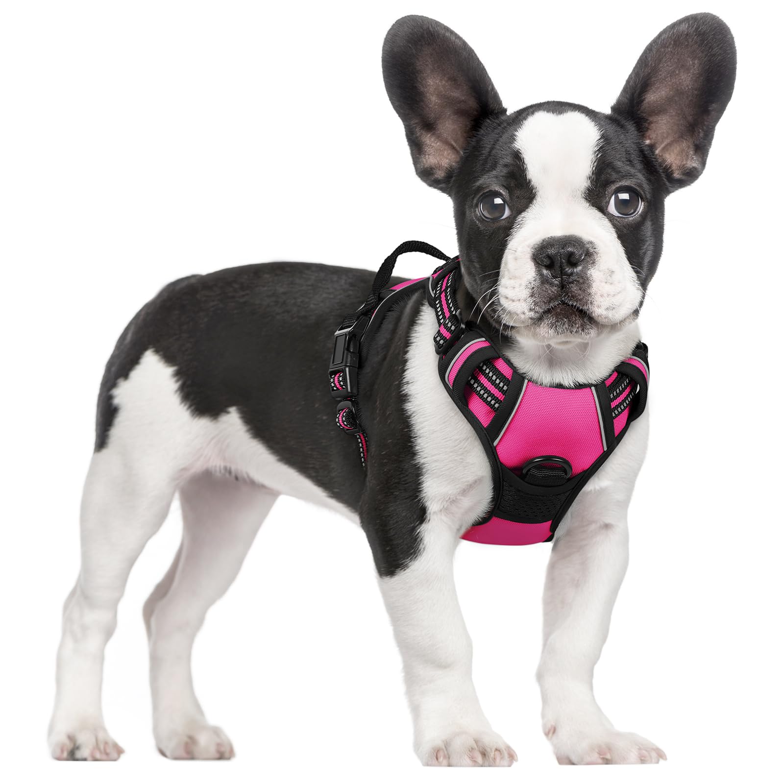 No Pull Dog Harness for Large Dogs – Adjustable Pet Vest with 2 Leash Clips
