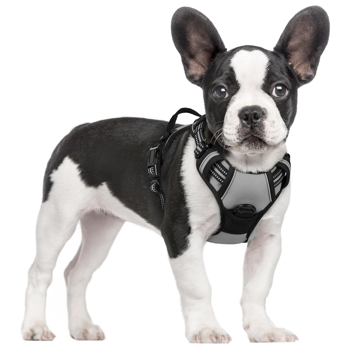 No Pull Dog Harness for Large Dogs – Adjustable Pet Vest with 2 Leash Clips