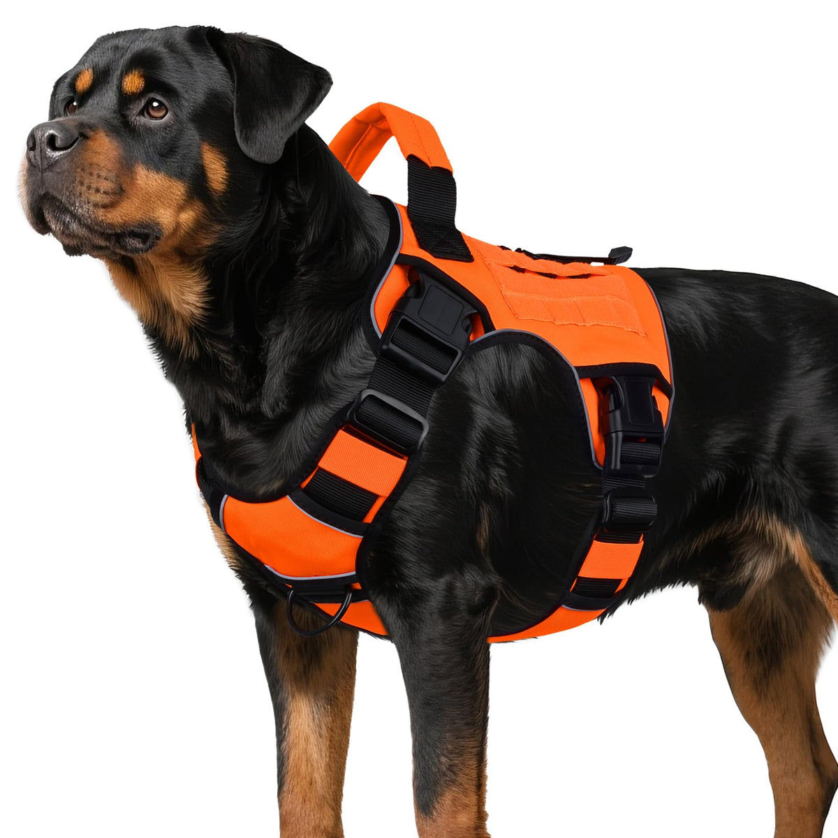 Tactical Dog Harness for Large Dogs – Adjustable No Pull Harness with Handle