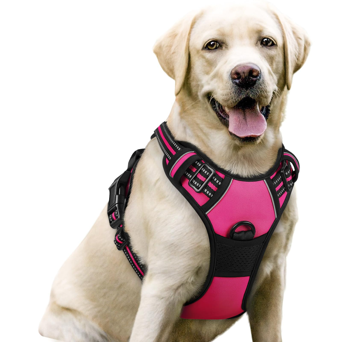 No Pull Dog Harness for Large Dogs – Adjustable Pet Vest with 2 Leash Clips