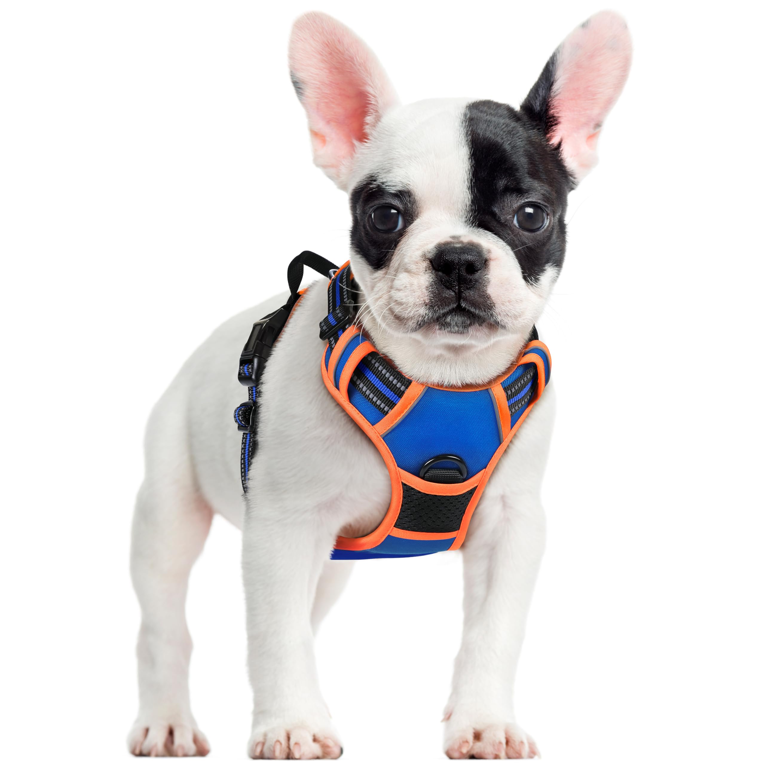 No Pull Dog Harness for Large Dogs – Adjustable Pet Vest with 2 Leash Clips