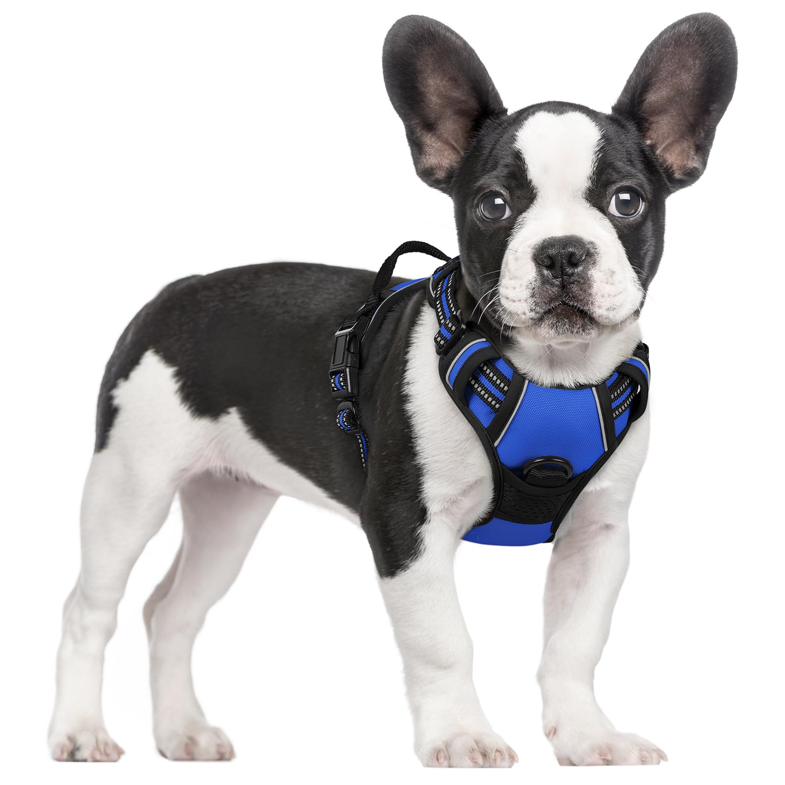 No Pull Dog Harness for Large Dogs – Adjustable Pet Vest with 2 Leash Clips