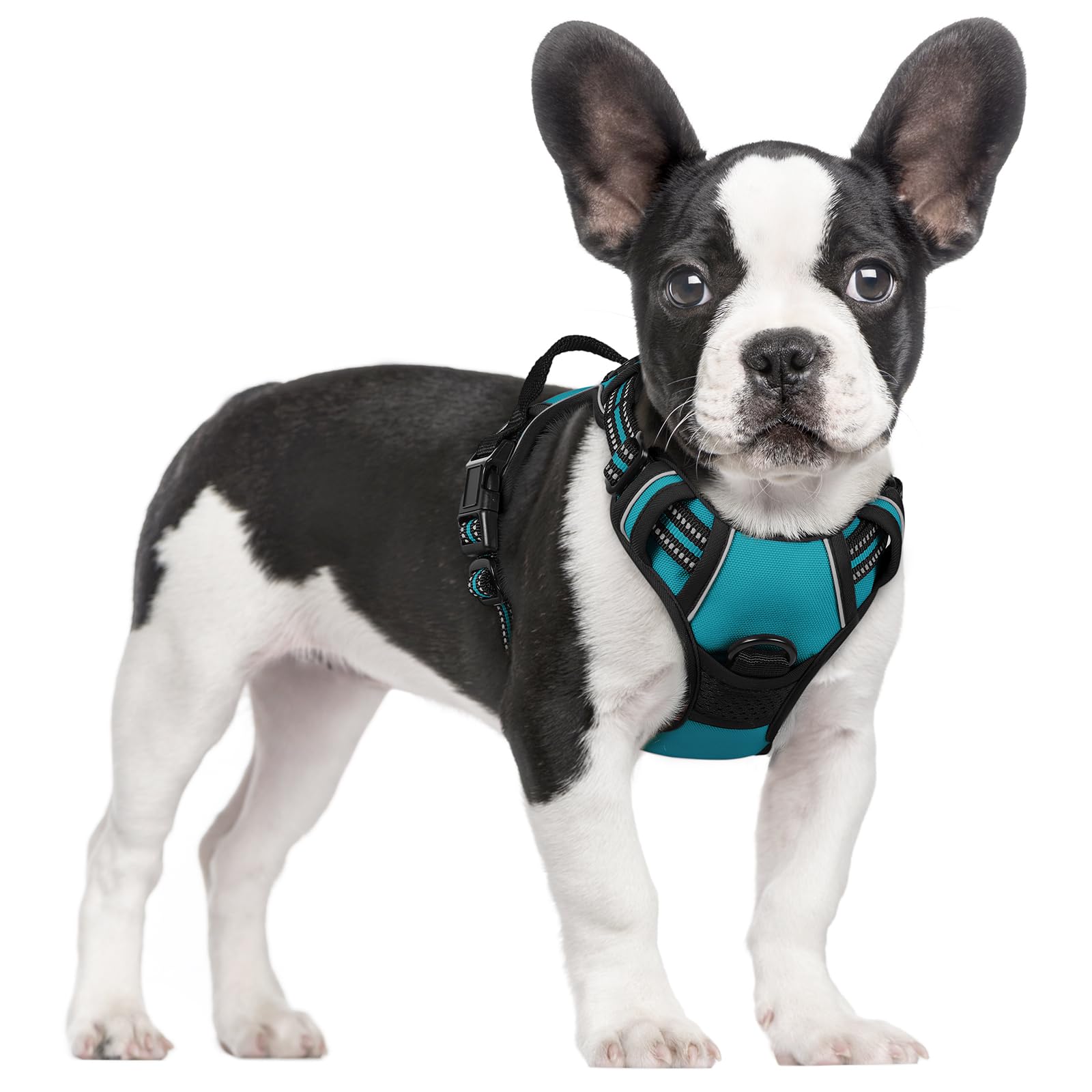 No Pull Dog Harness for Large Dogs – Adjustable Pet Vest with 2 Leash Clips