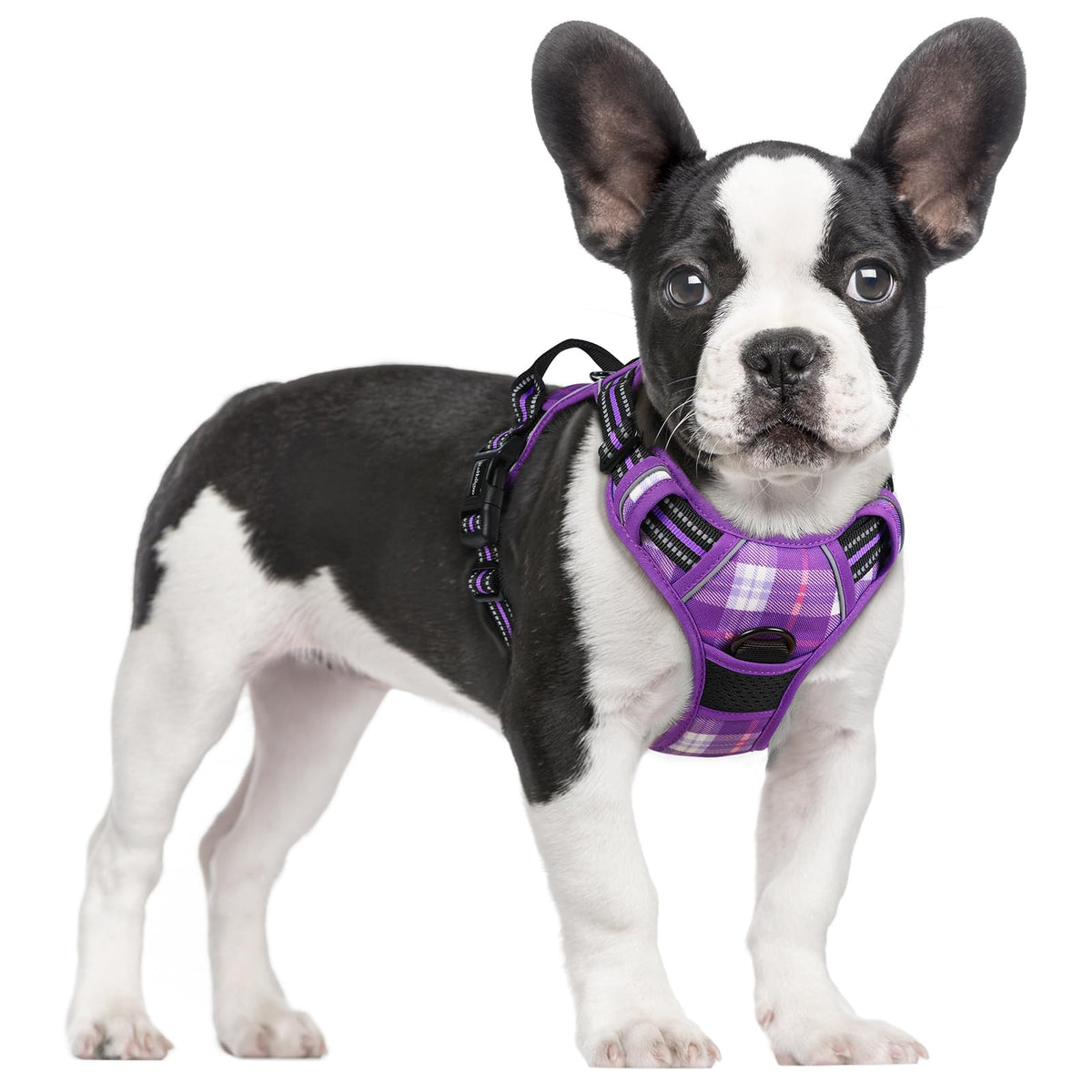 No Pull Dog Harness for Large Dogs – Adjustable Pet Vest with 2 Leash Clips
