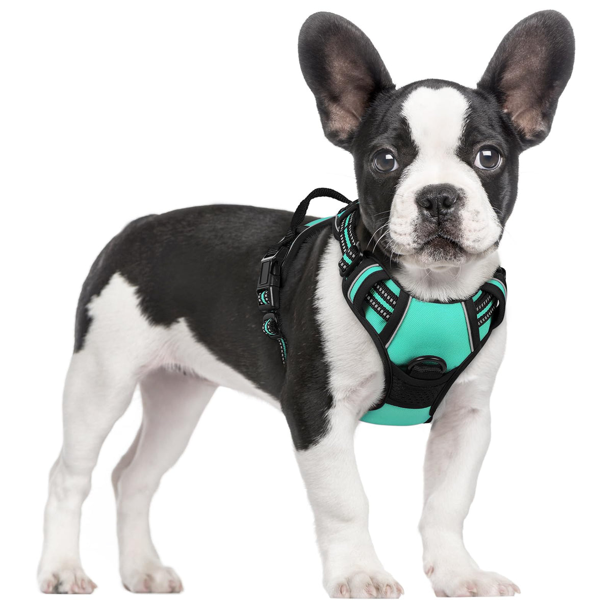 No Pull Dog Harness for Large Dogs – Adjustable Pet Vest with 2 Leash Clips
