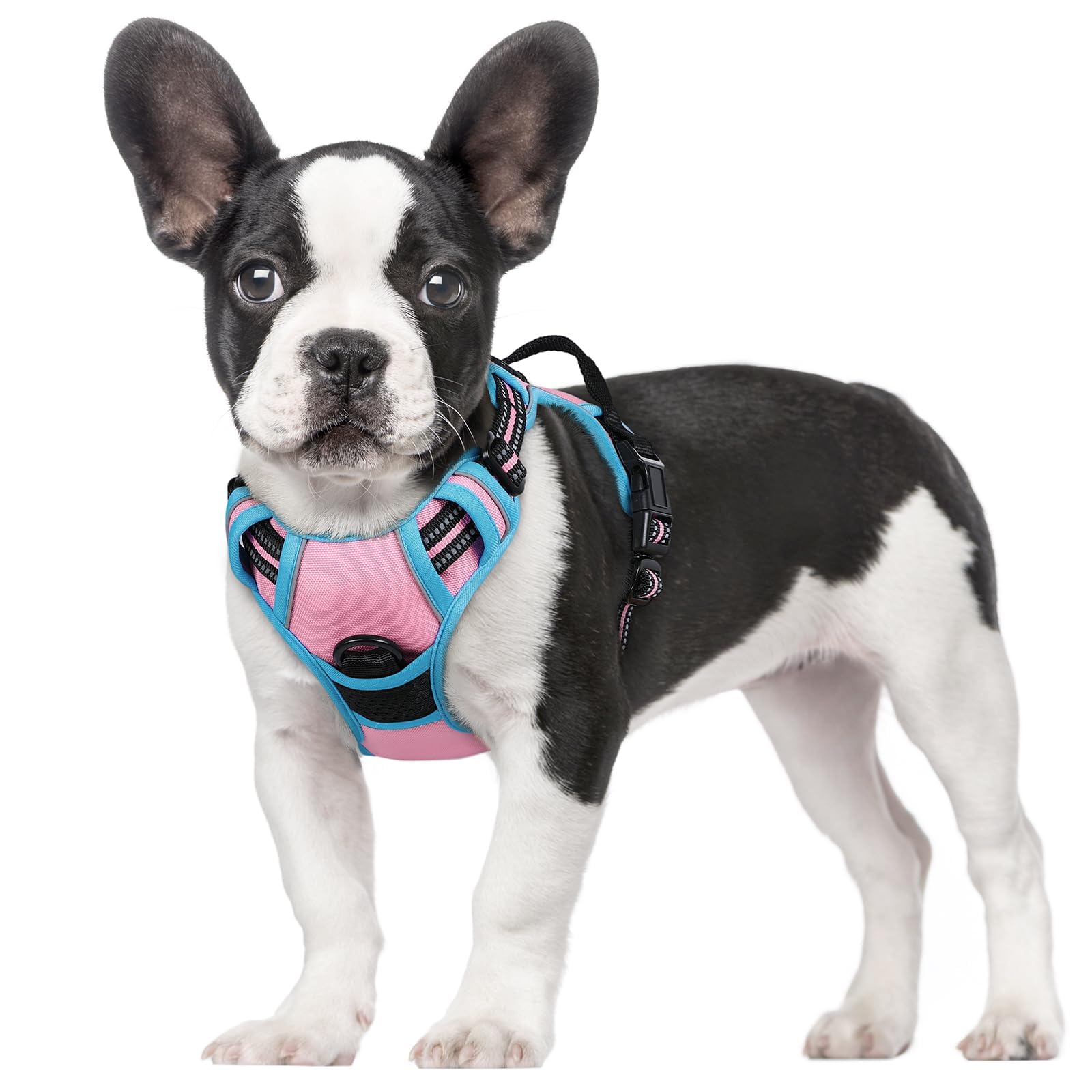 No Pull Dog Harness for Large Dogs – Adjustable Pet Vest with 2 Leash Clips