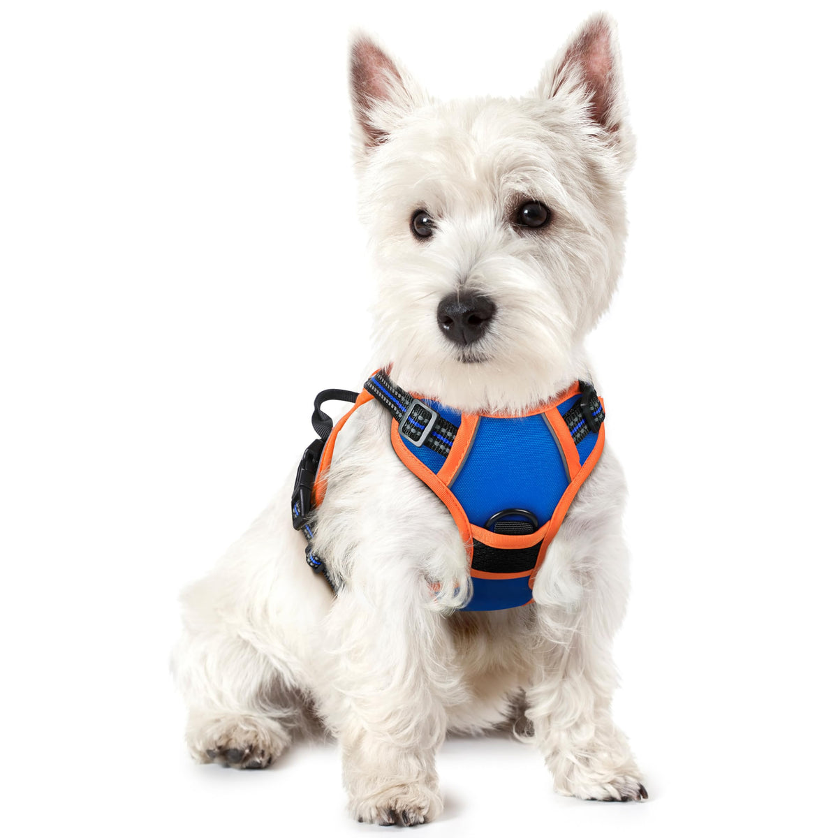 No Pull Dog Harness for Large Dogs – Adjustable Pet Vest with 2 Leash Clips