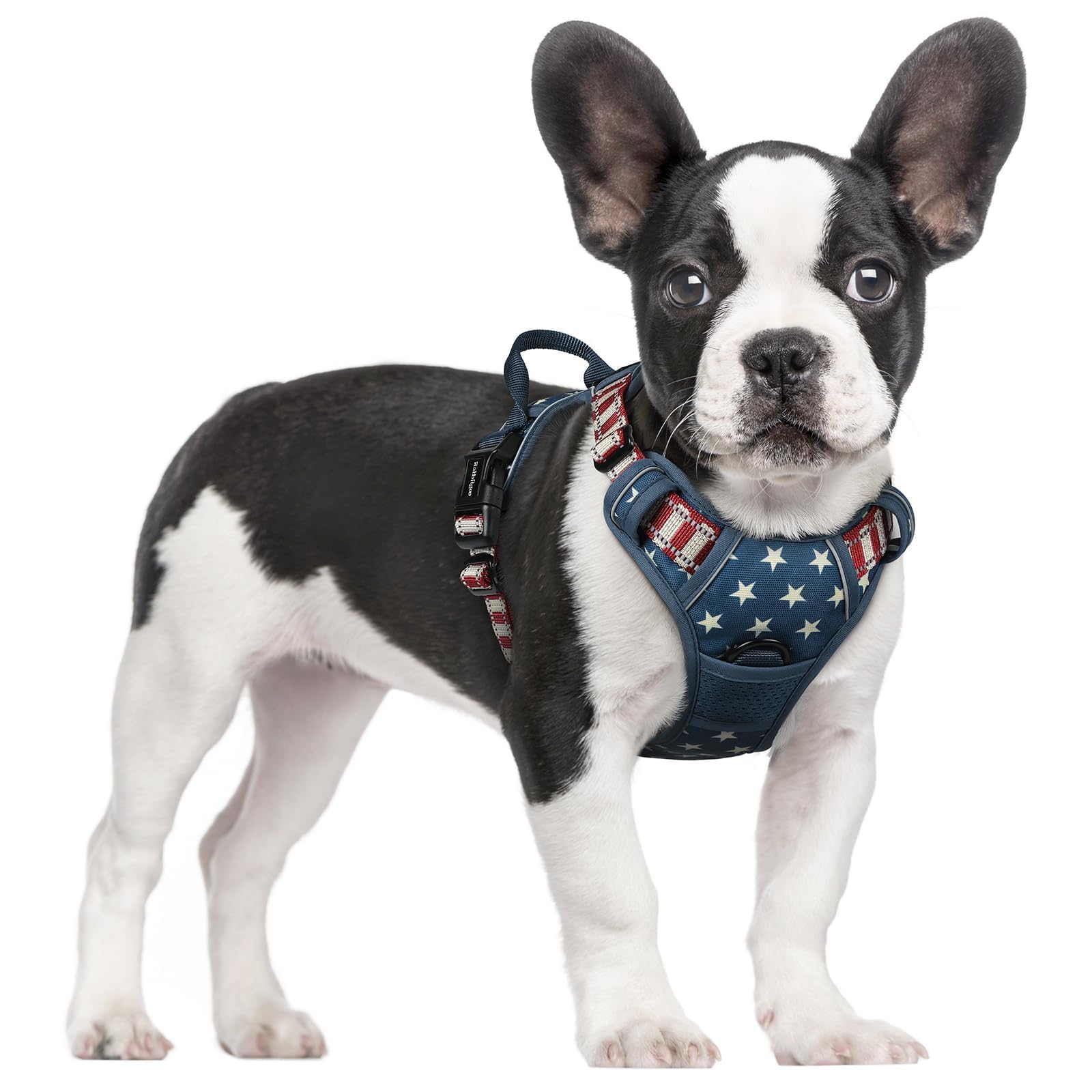 No Pull Dog Harness for Large Dogs – Adjustable Pet Vest with 2 Leash Clips
