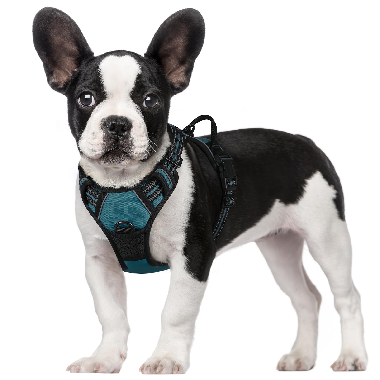 No Pull Dog Harness for Large Dogs – Adjustable Pet Vest with 2 Leash Clips