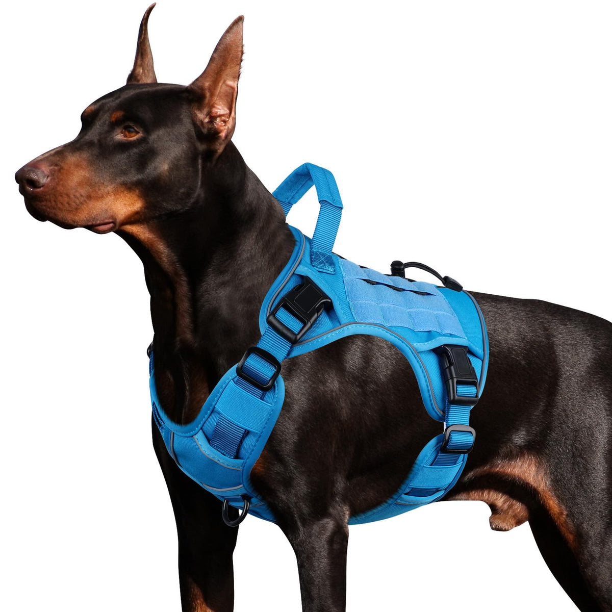 Tactical Dog Harness for Large Dogs – Adjustable No Pull Harness with Handle