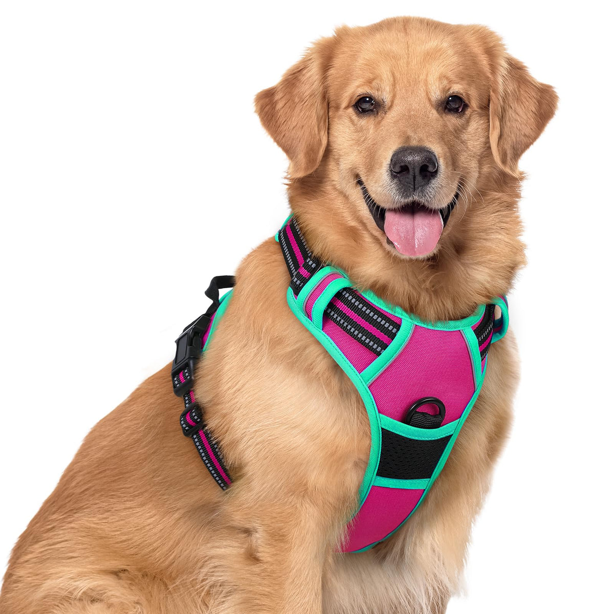 No Pull Dog Harness for Large Dogs – Adjustable Pet Vest with 2 Leash Clips