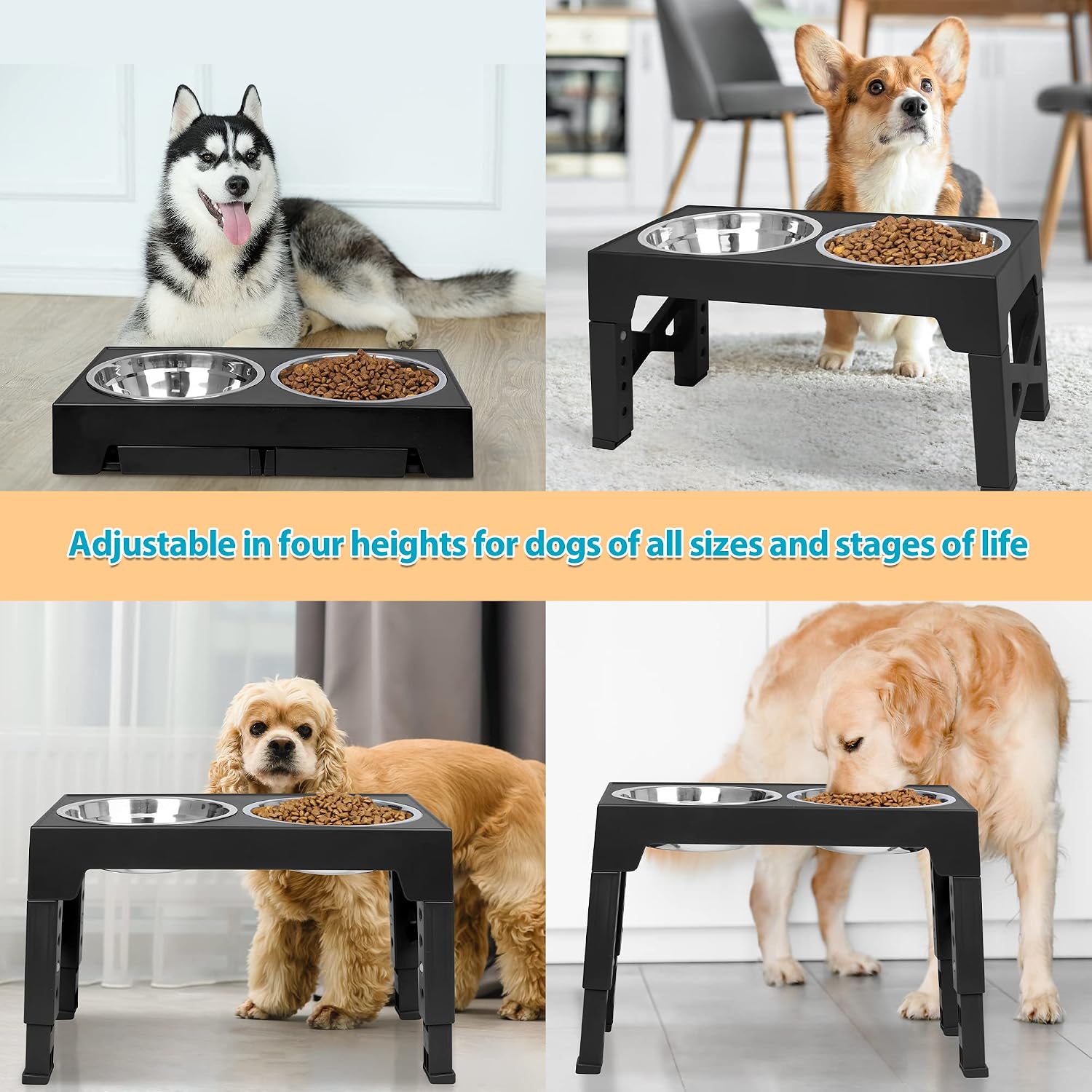 5-Height Elevated Dog Bowl Stand with 2 Steel Bowls
