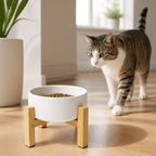 Cat beside a white elevated ceramic bowl on a bamboo stand