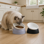 2-Pack Adjustable Tilted Cat Bowls – 17 oz in a realistic use setting