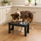 Adjustable Elevated Dog Bowl Stand with 2 Steel Bowls in a realistic use setting