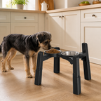 Adjustable Pet Bowl Stand – Height & Width Adjustable in a realistic use setting