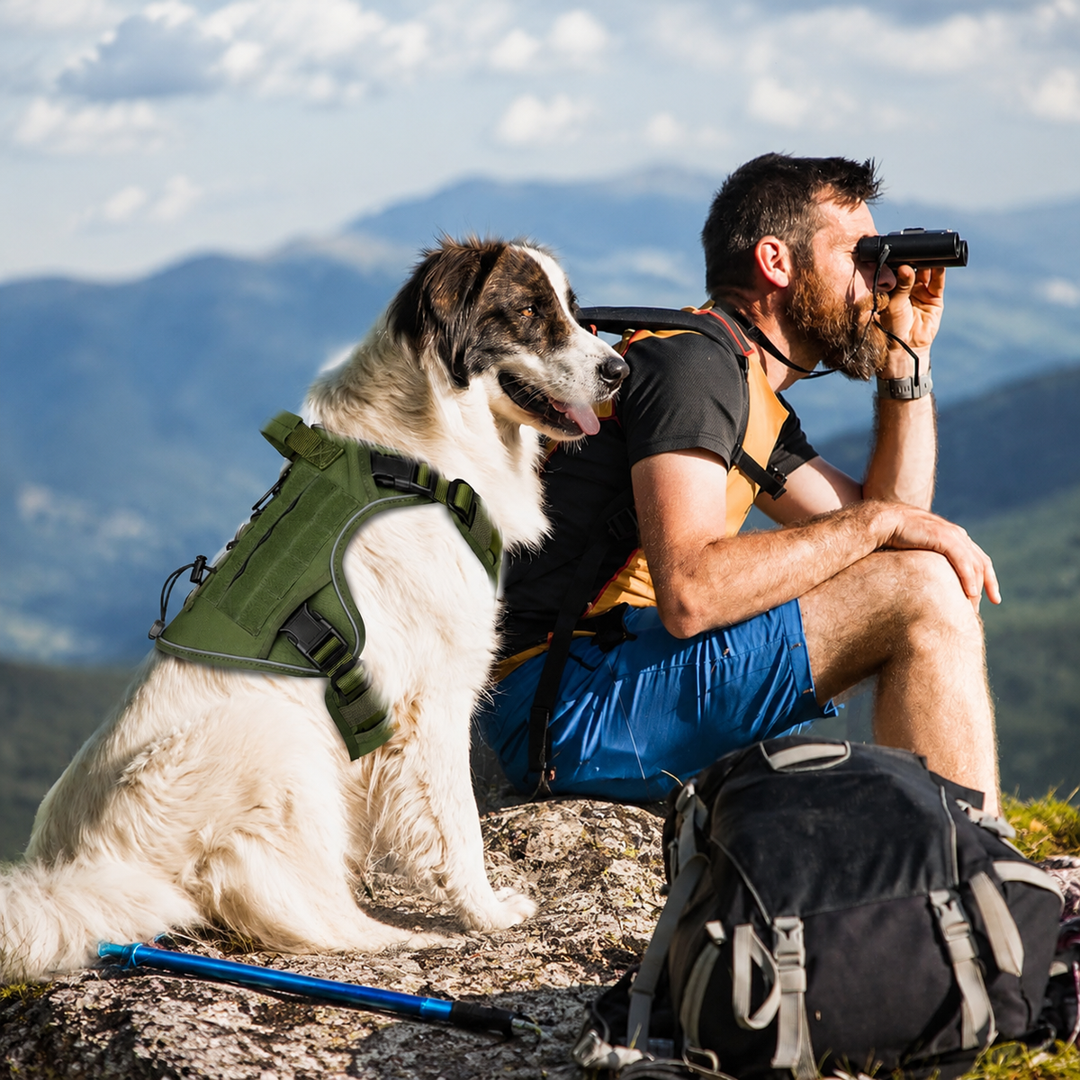 Tactical Dog Harness for Large Dogs – Adjustable No Pull Harness with Handle