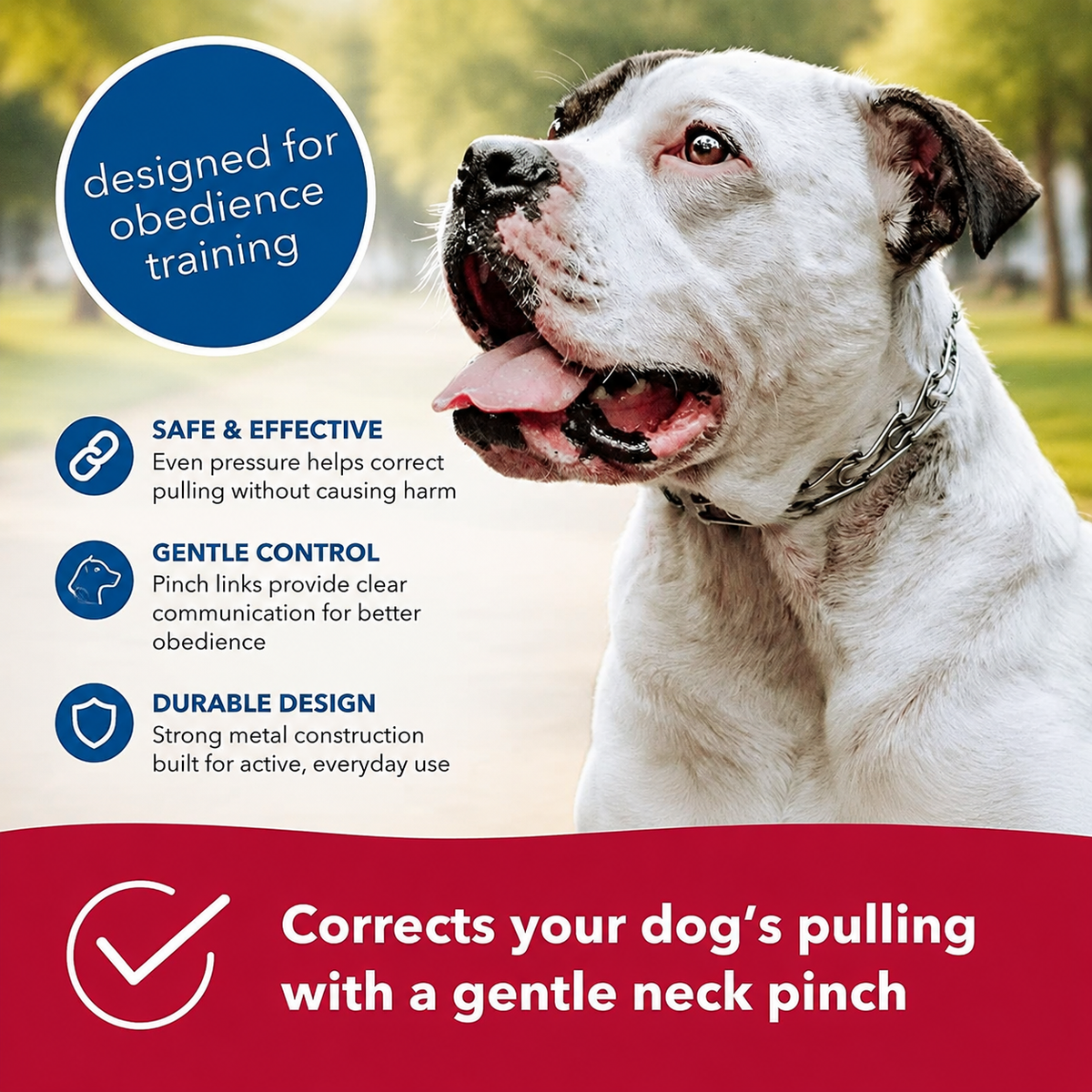 2.25mm Prong Dog Training Collar – Adjustable 14" Chrome-Plated Steel Pinch Collar